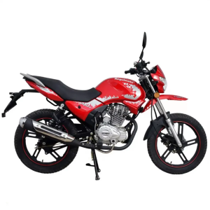 Мотоцикл Regulmoto SK200-9 с ПТС (Красный)