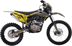 Мотоцикл BSE Z2 L 21\18 (Split Yellow)