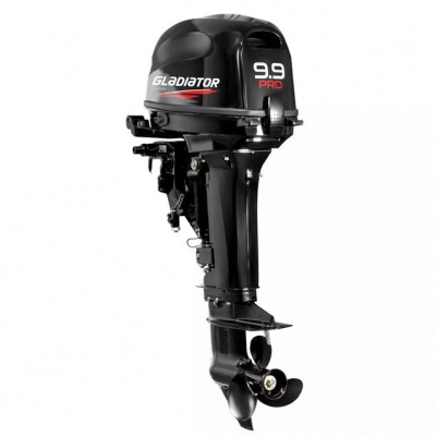 Лодочный мотор GLADIATOR G9.9PRO FES_NEW (Дистанция) 1