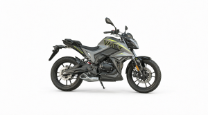 Мотоцикл VMC Ruch 300 (BY250GY-А) СЕРИЯ ZS3000 (GREY)
