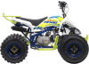 Квадроцикл BSE XT-1 (Lime)