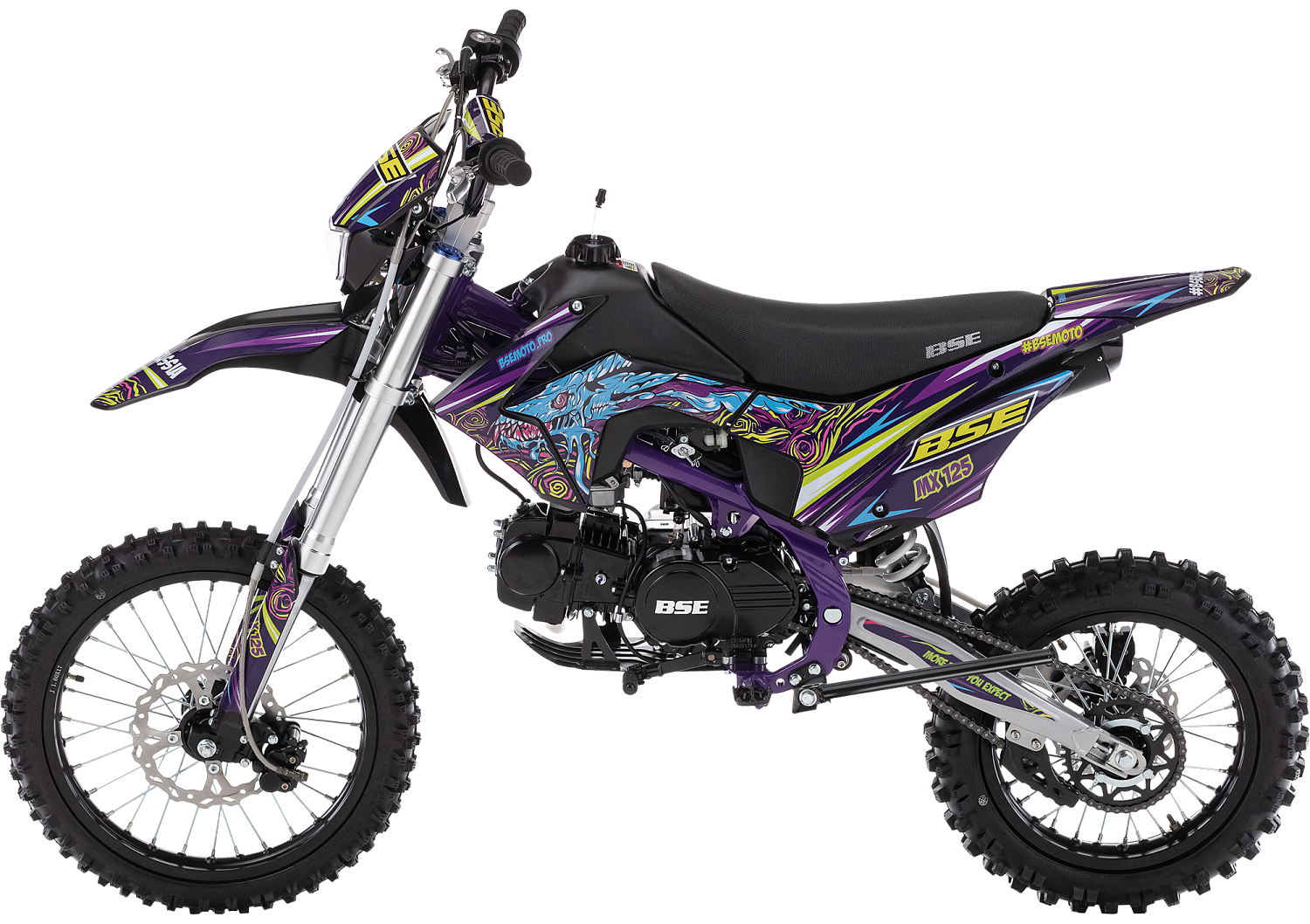 bse_mx_purpledragon_4