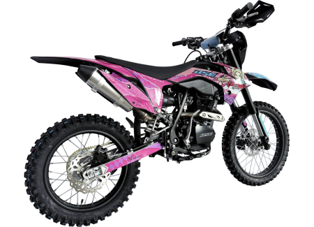 bse_z1_harley_3