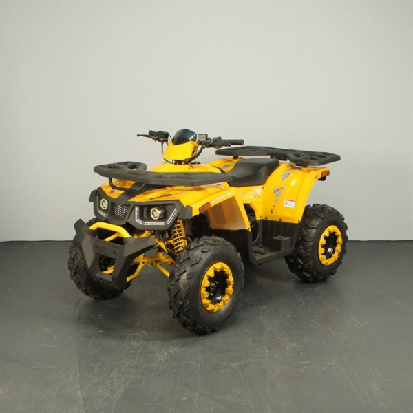 12064_middle